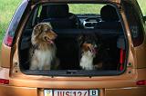 VOITURE - CAR 179